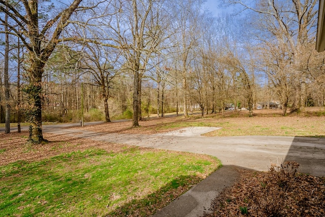 view of community featuring concrete driveway