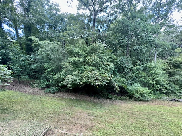 108 Van Buren Dr, Dalton, GA 30721 - photo 17
