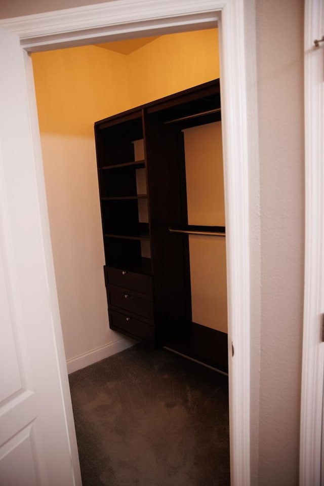 spacious closet featuring dark carpet