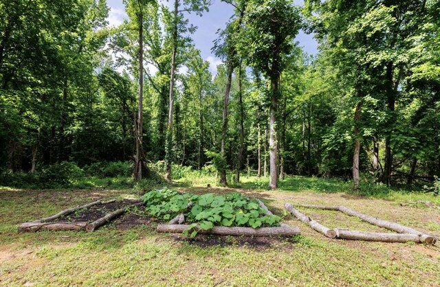 845 New Hope Church Rd, Chatsworth, GA 30705 - photo 52