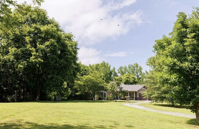 845 New Hope Church Rd, Chatsworth, GA 30705 - photo 56