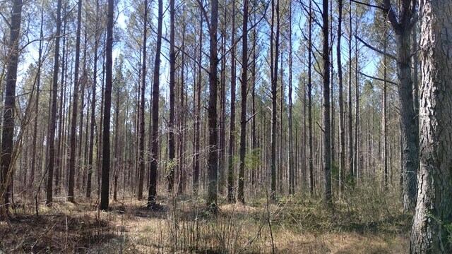 0 Hill City Rd, Resaca, GA 30735 - photo 17