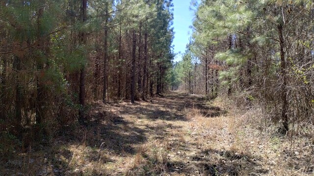 0 Hill City Rd, Resaca, GA 30735 - photo 20