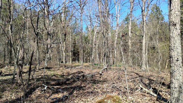 0 Hill City Rd, Resaca, GA 30735 - photo 18