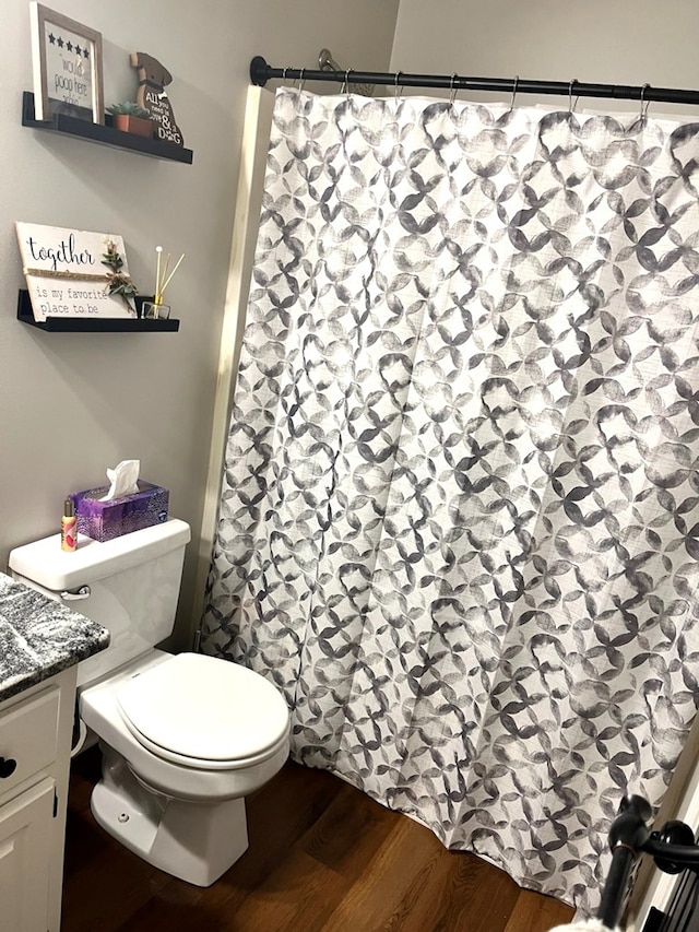 41 Magnolia Ct, Rydal, GA 30171 - bathroom with wood finished floors, vanity, and a shower with shower curtain