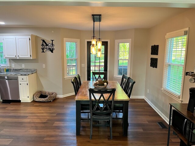 41 Magnolia Ct, Rydal, GA 30171 - dining area featuring plenty of natural light and dark wood-style floors