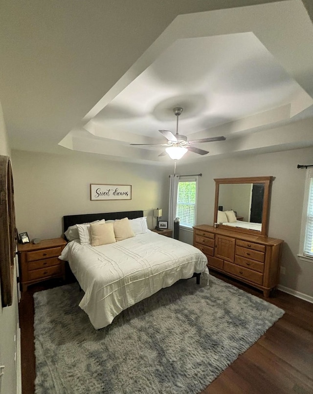 41 Magnolia Ct, Rydal, GA 30171 - bedroom featuring a raised ceiling, dark wood-style flooring, and a ceiling fan
