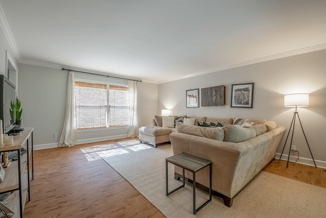 living room with crown molding and light wood-type flooring