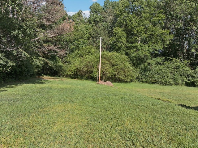 183 Long Hollow Rd, Rock Spring, GA 39736 - view of green lawn featuring a wooded view