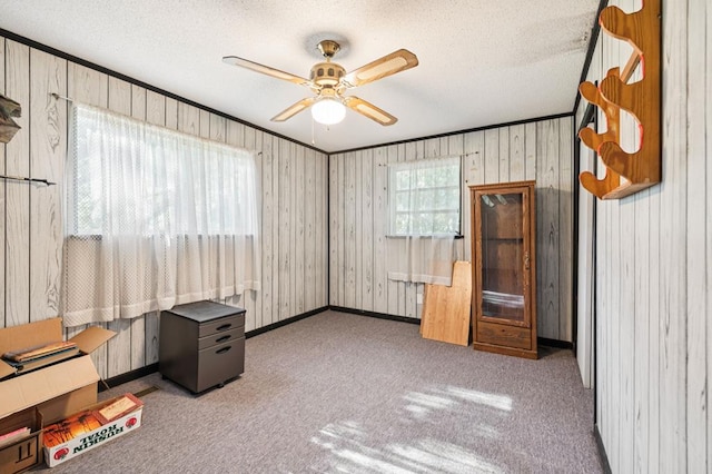 183 Long Hollow Rd, Rock Spring, GA 39736 - carpeted empty room with a ceiling fan, a textured ceiling, and wooden walls