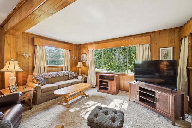 183 Long Hollow Rd, Rock Spring, GA 39736 - carpeted living room featuring wood walls and beamed ceiling