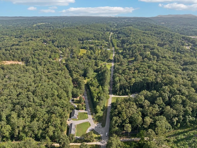 183 Long Hollow Rd, Rock Spring, GA 39736 - aerial view of property's location featuring a heavily wooded area