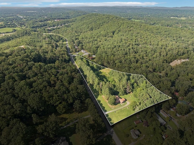 183 Long Hollow Rd, Rock Spring, GA 39736 - aerial view of property and surrounding area with property boundaries highlighted