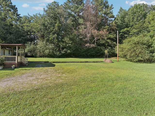 183 Long Hollow Rd, Rock Spring, GA 39736 - view of grassy yard with a forest view