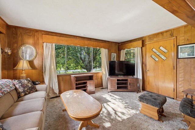 183 Long Hollow Rd, Rock Spring, GA 39736 - living area featuring wooden walls and light colored carpet
