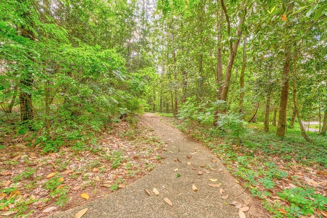 1301 Morton Dr, Dalton, GA 30720 - view of street with a wooded view