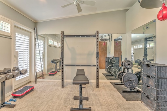 1301 Morton Dr, Dalton, GA 30720 - exercise room with ceiling fan and carpet