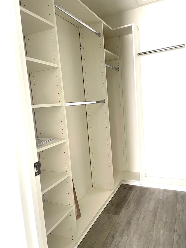 walk in closet with hardwood / wood-style flooring