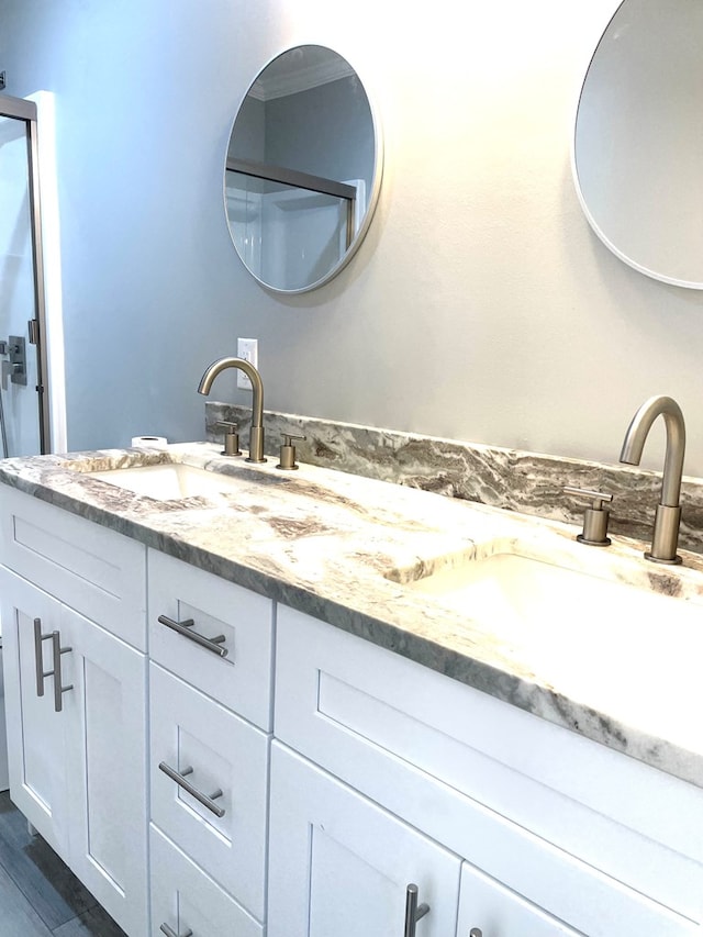 bathroom featuring vanity and wood-type flooring