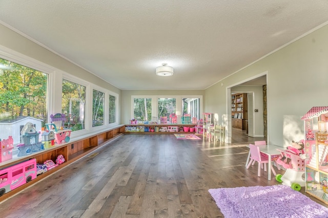 432 Castle Rd, Dalton, GA 30720 - rec room featuring hardwood / wood-style flooring, ornamental molding, and a textured ceiling