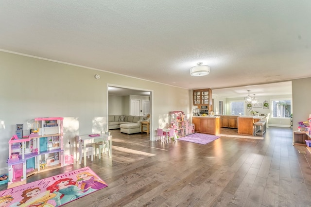 432 Castle Rd, Dalton, GA 30720 - game room featuring ornamental molding, wood-type flooring, a chandelier, and a textured ceiling