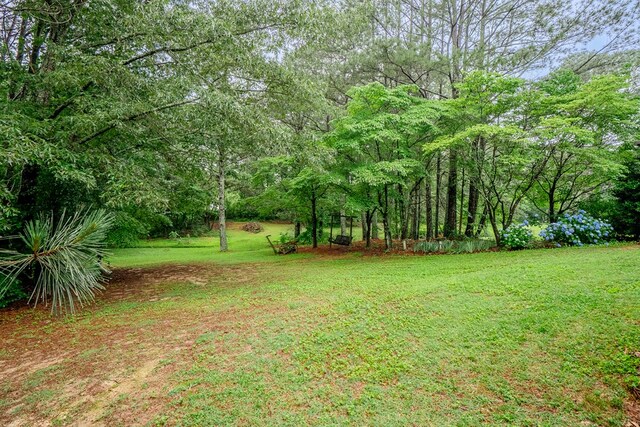 103 Paddle Wheel Ct, Cohutta, GA 30720 - view of green lawn