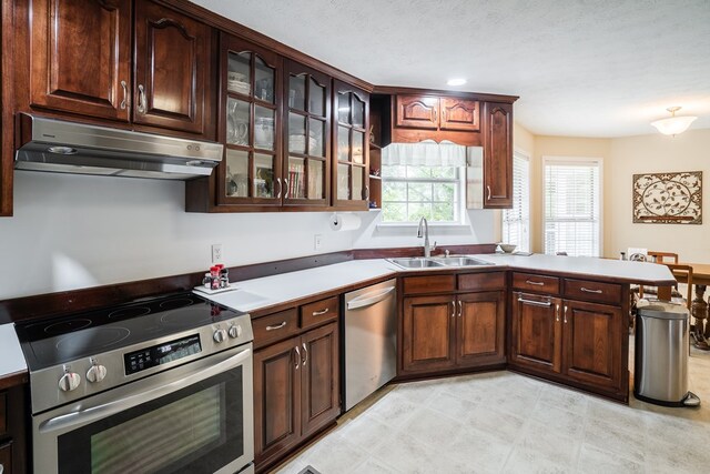 103 Paddle Wheel Ct, Cohutta, GA 30720 - kitchen with appliances with stainless steel finishes, under cabinet range hood, a sink, a peninsula, and glass insert cabinets