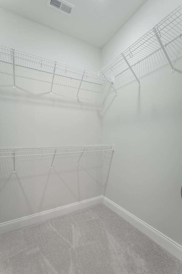 191 Andros Dr, Dalton, GA 30721 - spacious closet with carpet flooring