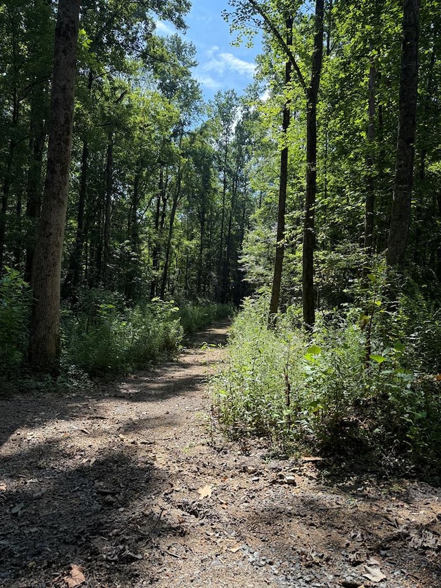 0 Ledford Rd, Cohutta, GA 30710