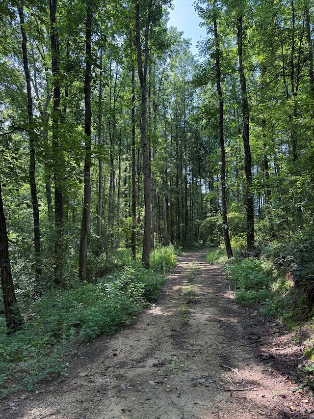 0 Ledford Rd, Cohutta, GA 30710