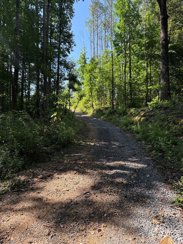 0 Ledford Rd, Cohutta, GA 30710
