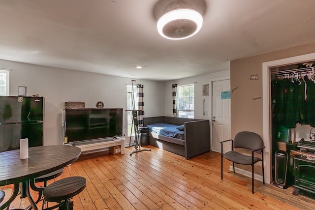 living room with light hardwood / wood-style floors