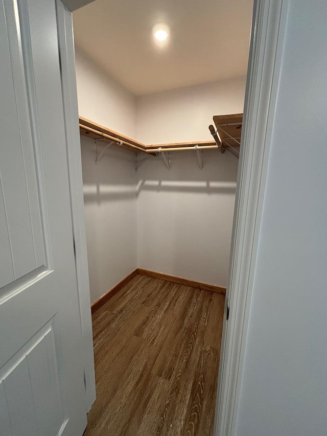 walk in closet with wood-type flooring