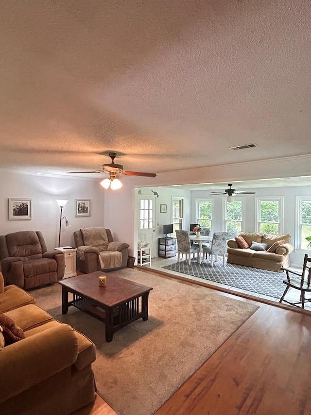 650 Wildwood Dr, Chatsworth, GA 30705 - photo 22