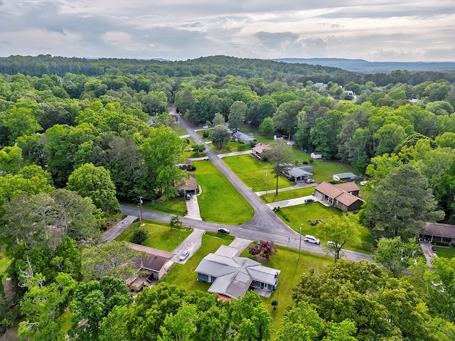 1164 Holly Grove Cir, Dalton, GA 30720 - aerial view with a wooded view