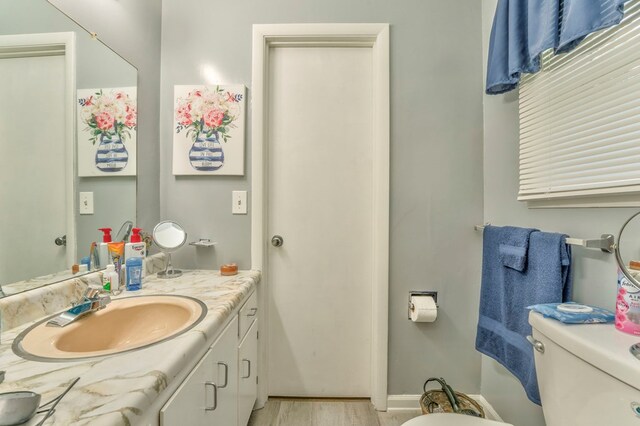 1164 Holly Grove Cir, Dalton, GA 30720 - bathroom with toilet, wood finished floors, and vanity