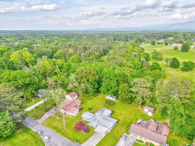 1164 Holly Grove Cir, Dalton, GA 30720 - aerial view featuring a wooded view