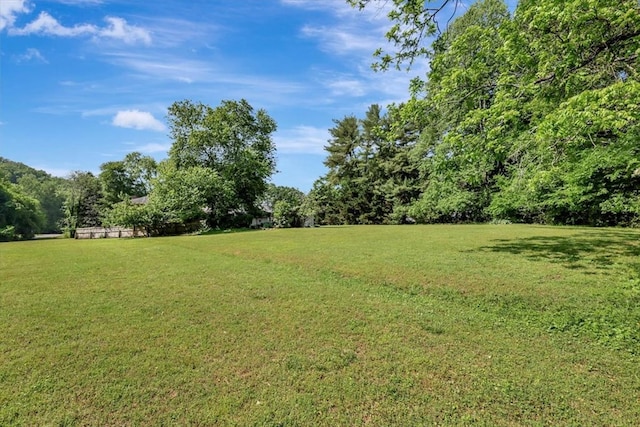 153 Buckingham Dr, Dalton, GA 30720 - view of green lawn