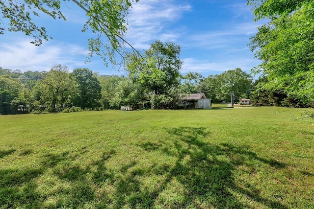 153 Buckingham Dr, Dalton, GA 30720 - view of green lawn