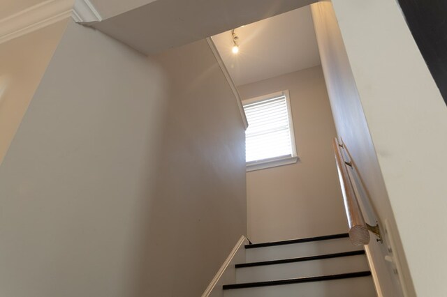 100 Valley Dr, Dalton, GA 30720 - photo 14