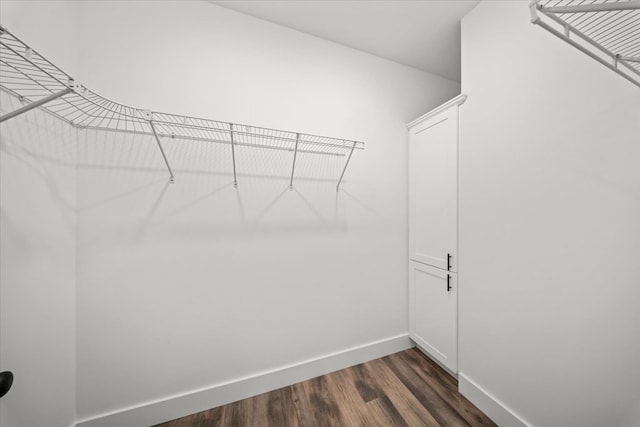 walk in closet with dark hardwood / wood-style floors