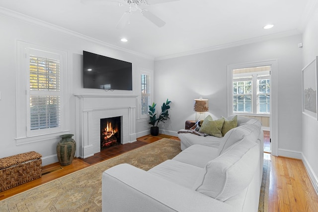 living room featuring hardwood / wood-style flooring, ornamental molding, and ceiling fan