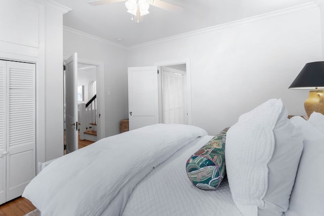 bedroom featuring crown molding, ceiling fan, a closet, and hardwood / wood-style flooring