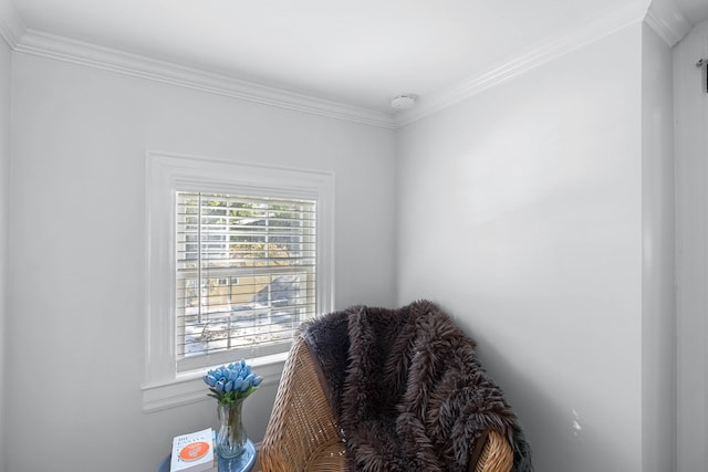 living area featuring crown molding