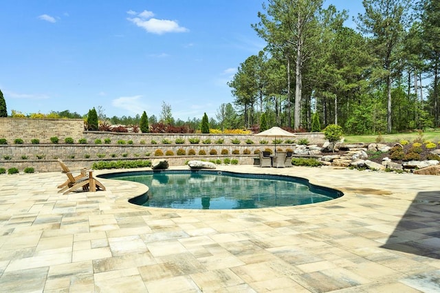 1699 Boyles Mill Rd, Dalton, GA 30721 - photo 56