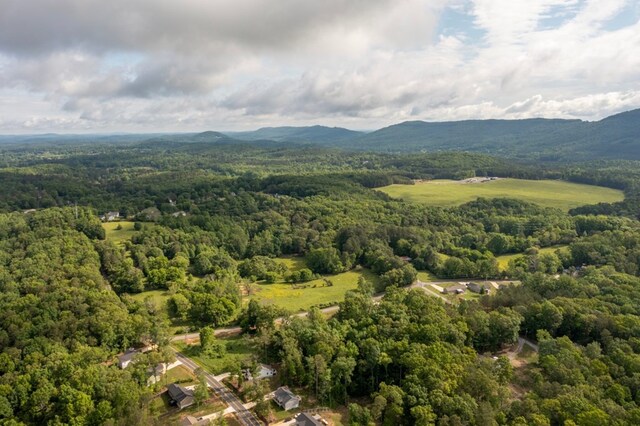 257 Old Babb Rd, Rocky Face, GA 30740 - photo 48