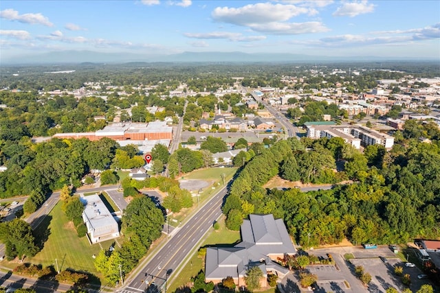 bird's eye view