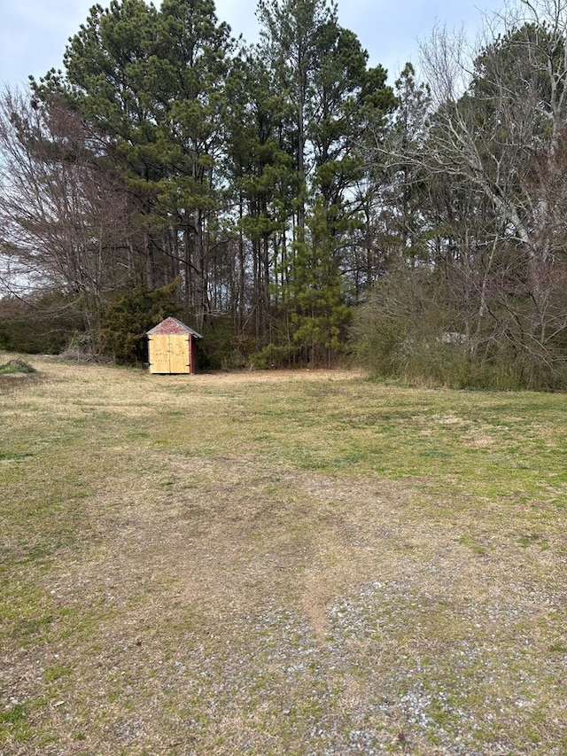 view of yard with an outbuilding and a storage unit