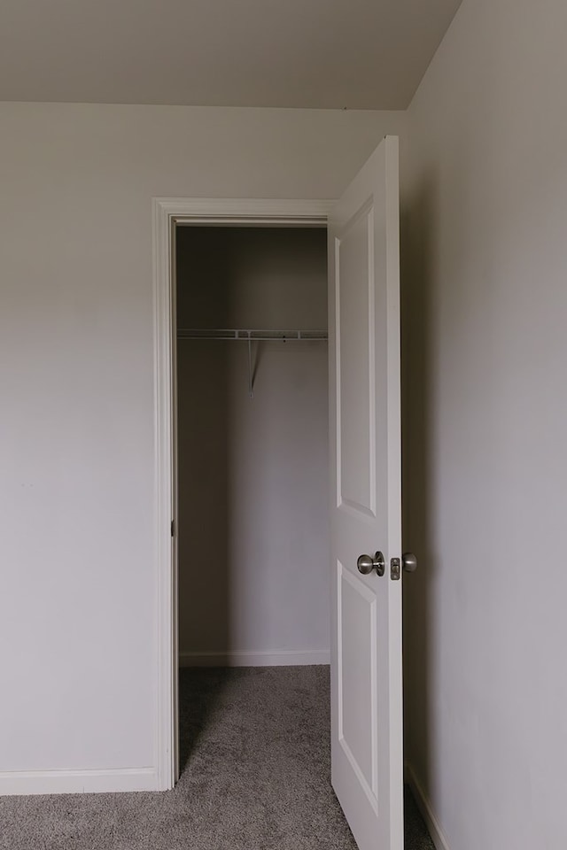 283 Parkland Way, Chatsworth, GA 30705 - view of closet