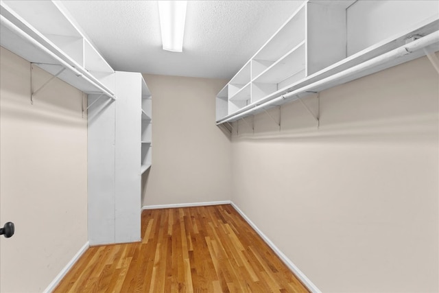 walk in closet with light hardwood / wood-style floors